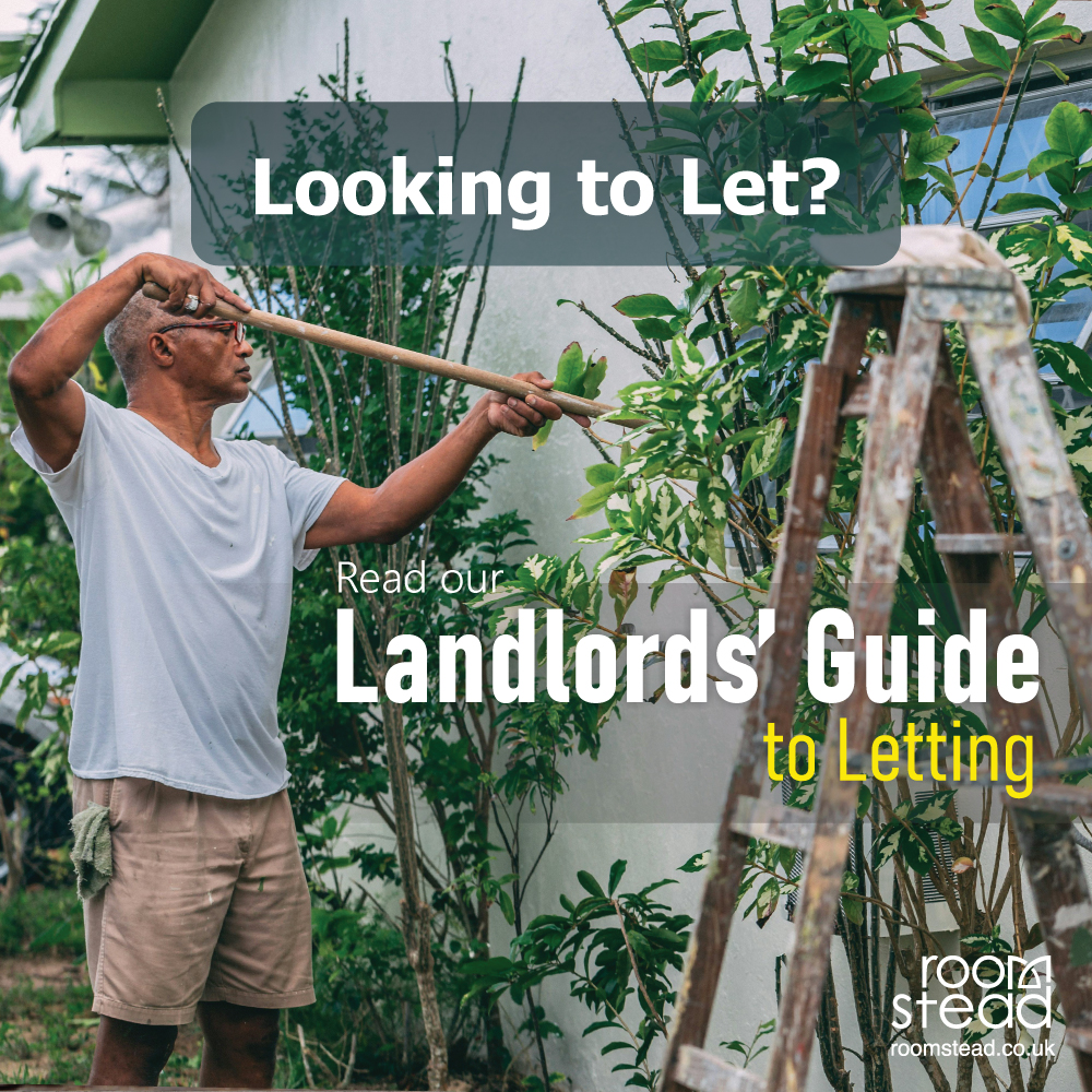 Looking To LET?