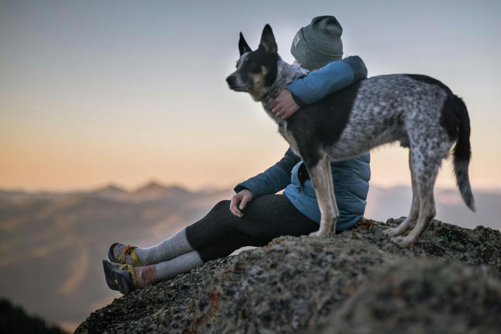 Renting with pets: When can landlords say no? (Renters' Rights Bill)