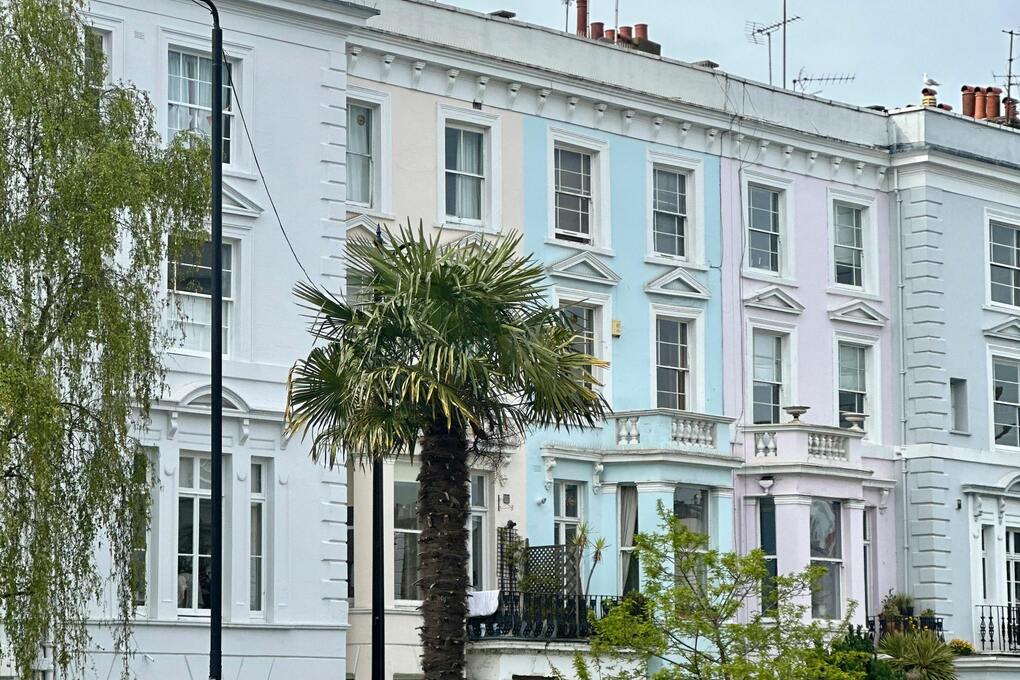 HMO sector shows strong momentum